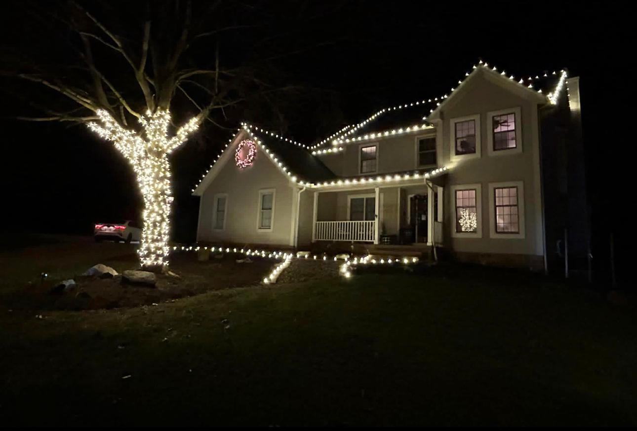 Warm white roofline with a fully wrapped front-yard tree